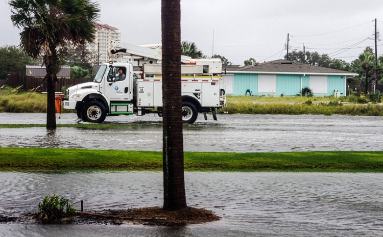  Hurricane Season for South Carolina Small Business Owners: What to Do Before the Storm Hits